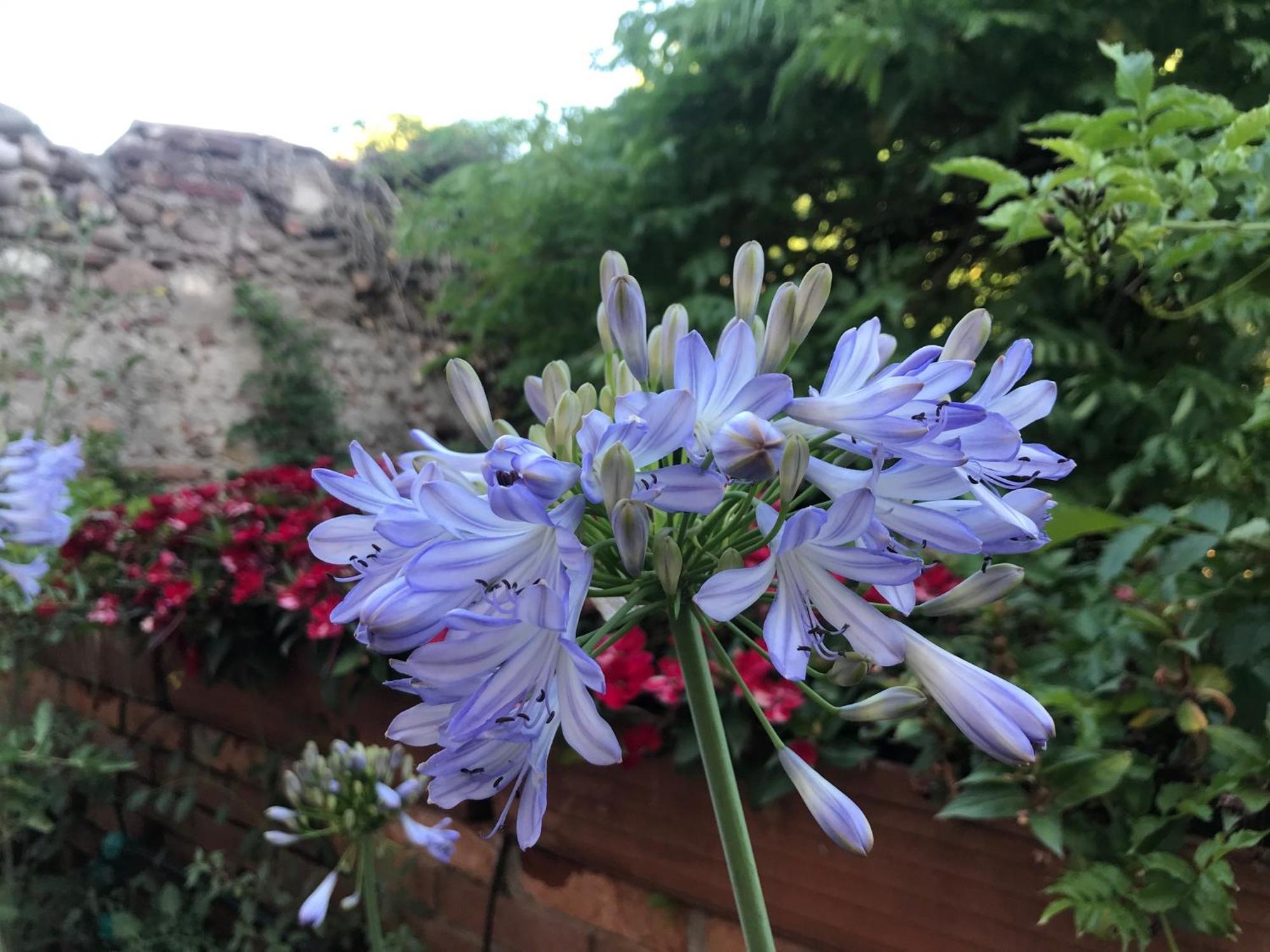 Una Casa Di Campagna Dossobuono Exterior foto